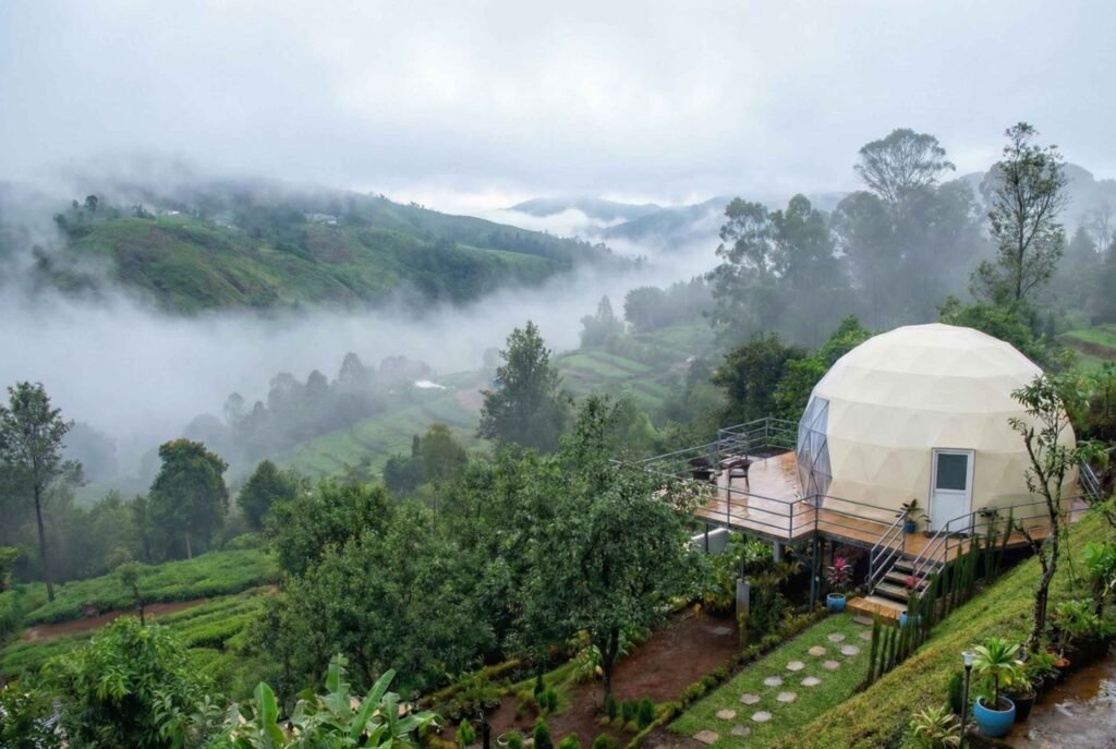 Lushgreen Glamp Kodaikanal Marigold Misty HIll View